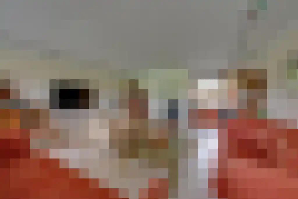 Numansgors 22 Numansdorp thumbnail 12