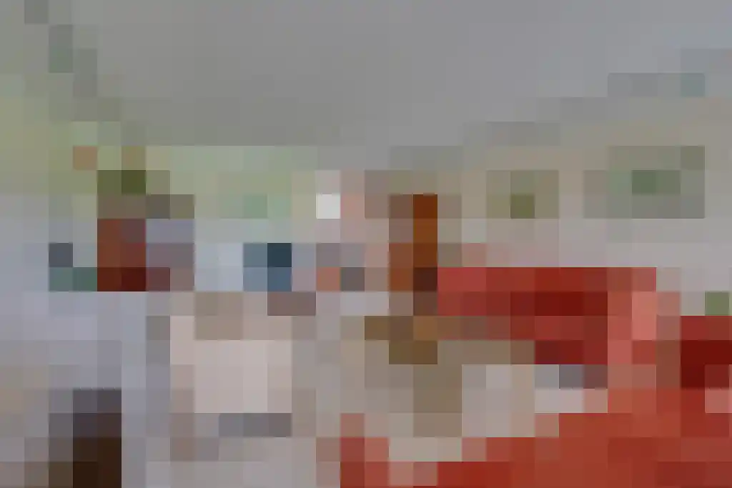 Numansgors 22 Numansdorp thumbnail 13