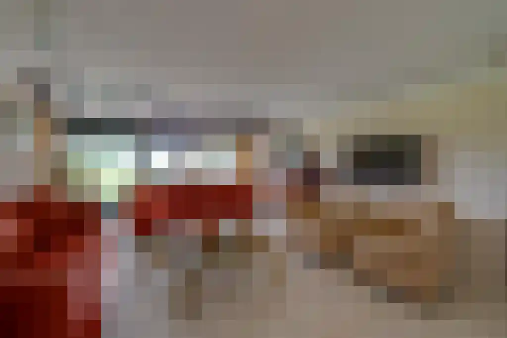 Numansgors 22 Numansdorp thumbnail 14