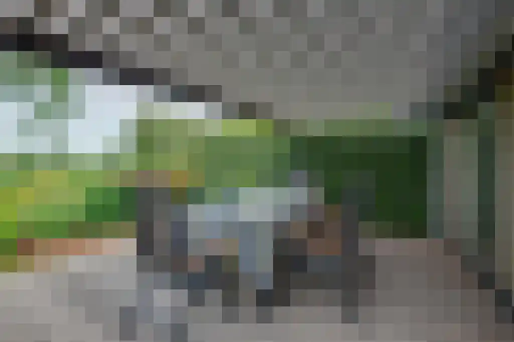 Numansgors 22 Numansdorp thumbnail 17