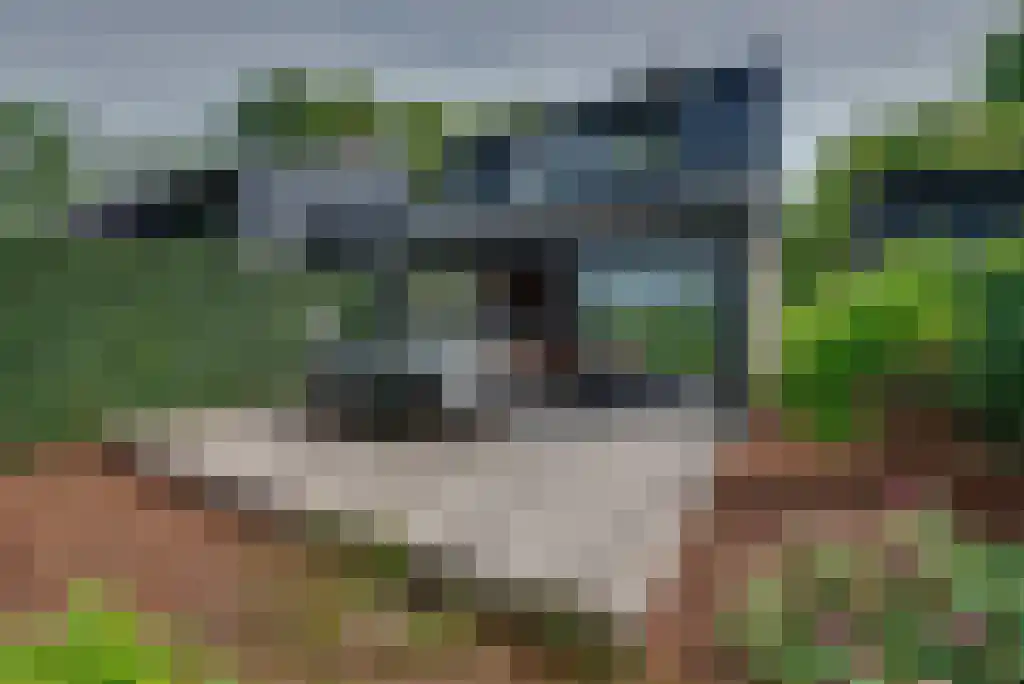 Numansgors 22 Numansdorp thumbnail 18