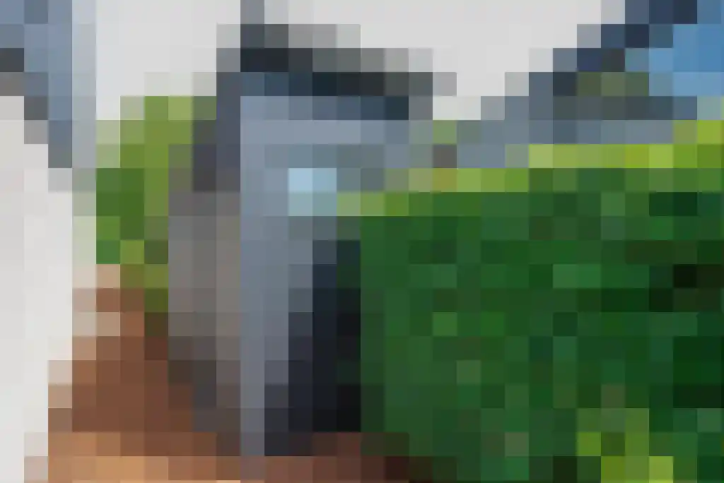 Numansgors 22 Numansdorp thumbnail 19