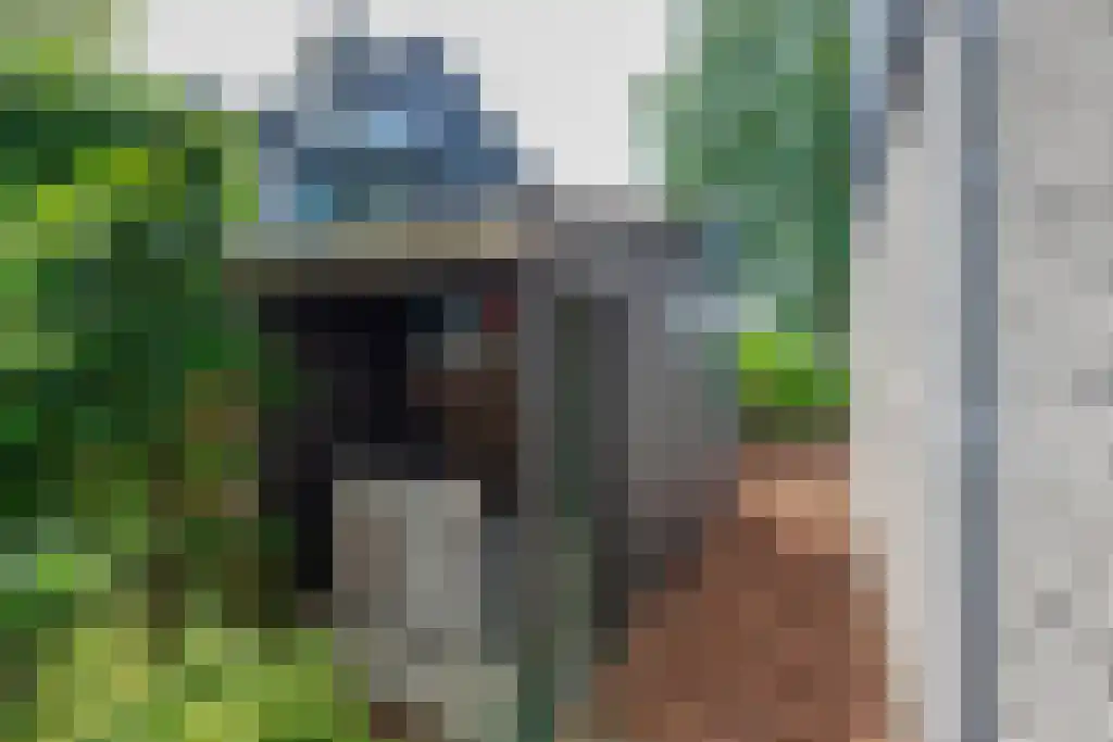 Numansgors 22 Numansdorp thumbnail 20