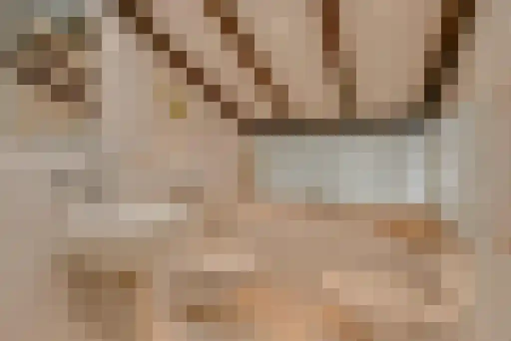 Numansgors 22 Numansdorp thumbnail 25