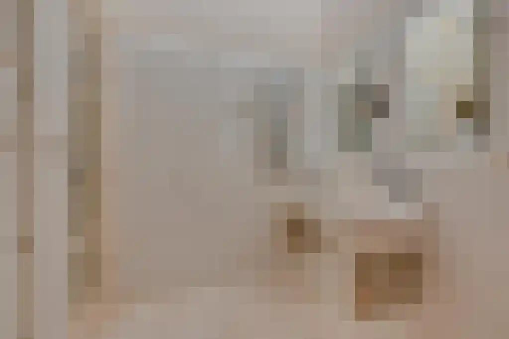 Numansgors 22 Numansdorp thumbnail 26