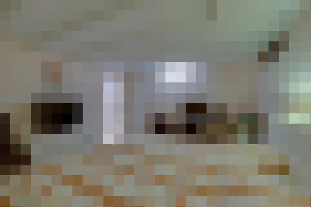 Numansgors 22 Numansdorp thumbnail 29