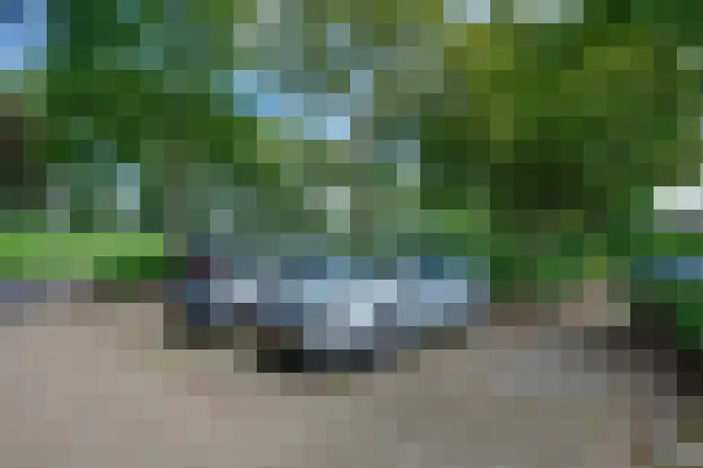 Numansgors 22 Numansdorp thumbnail 30