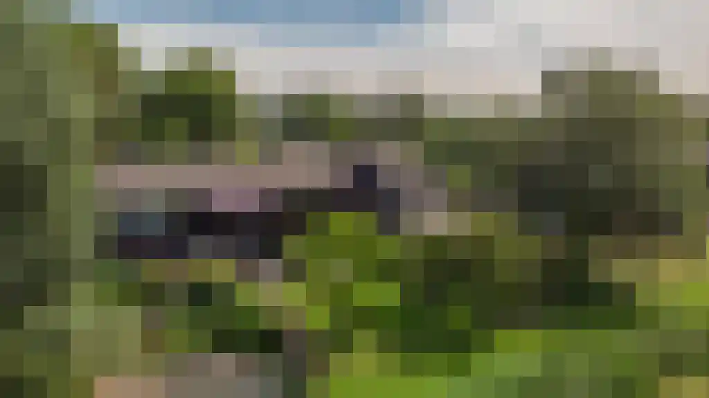 Numansgors 22 Numansdorp thumbnail 31