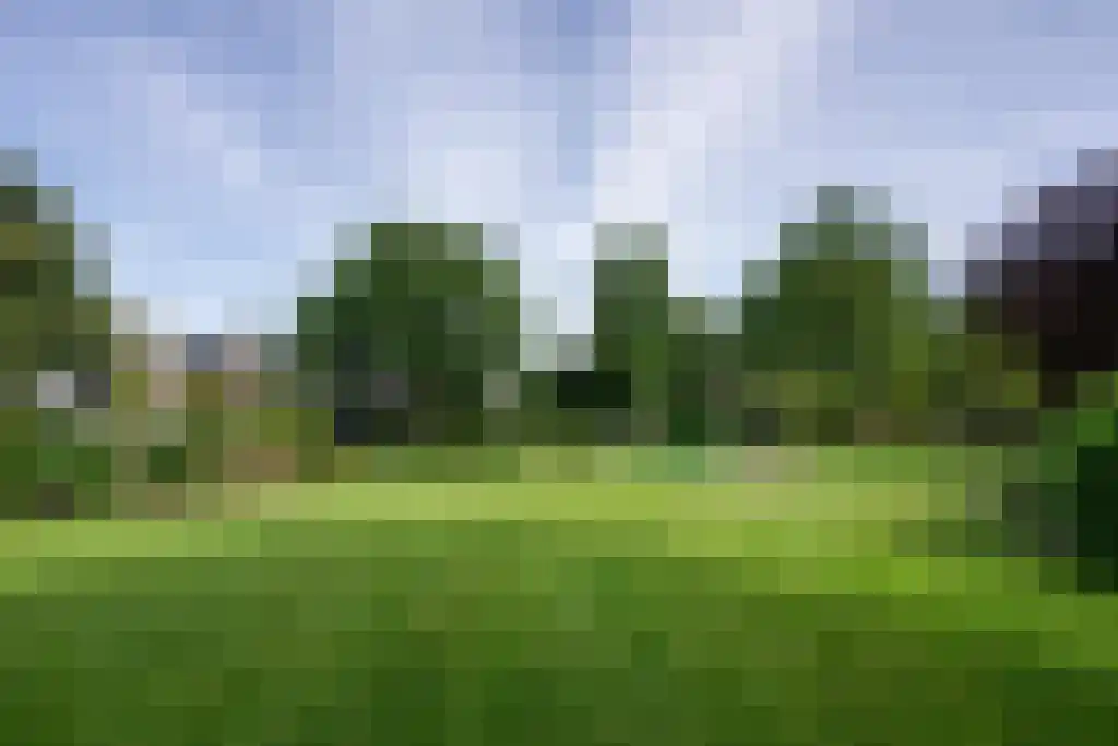 Numansgors 22 Numansdorp thumbnail 32