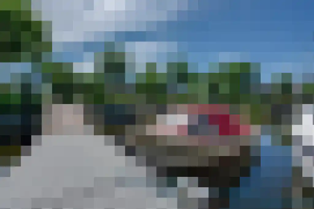 Numansgors 22 Numansdorp thumbnail 34