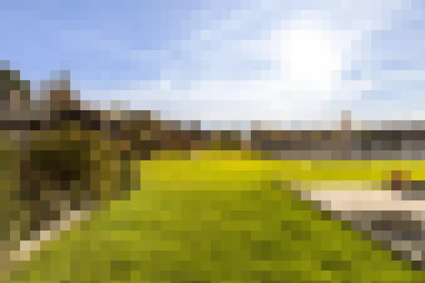Numansgors 67 Numansdorp thumbnail 35