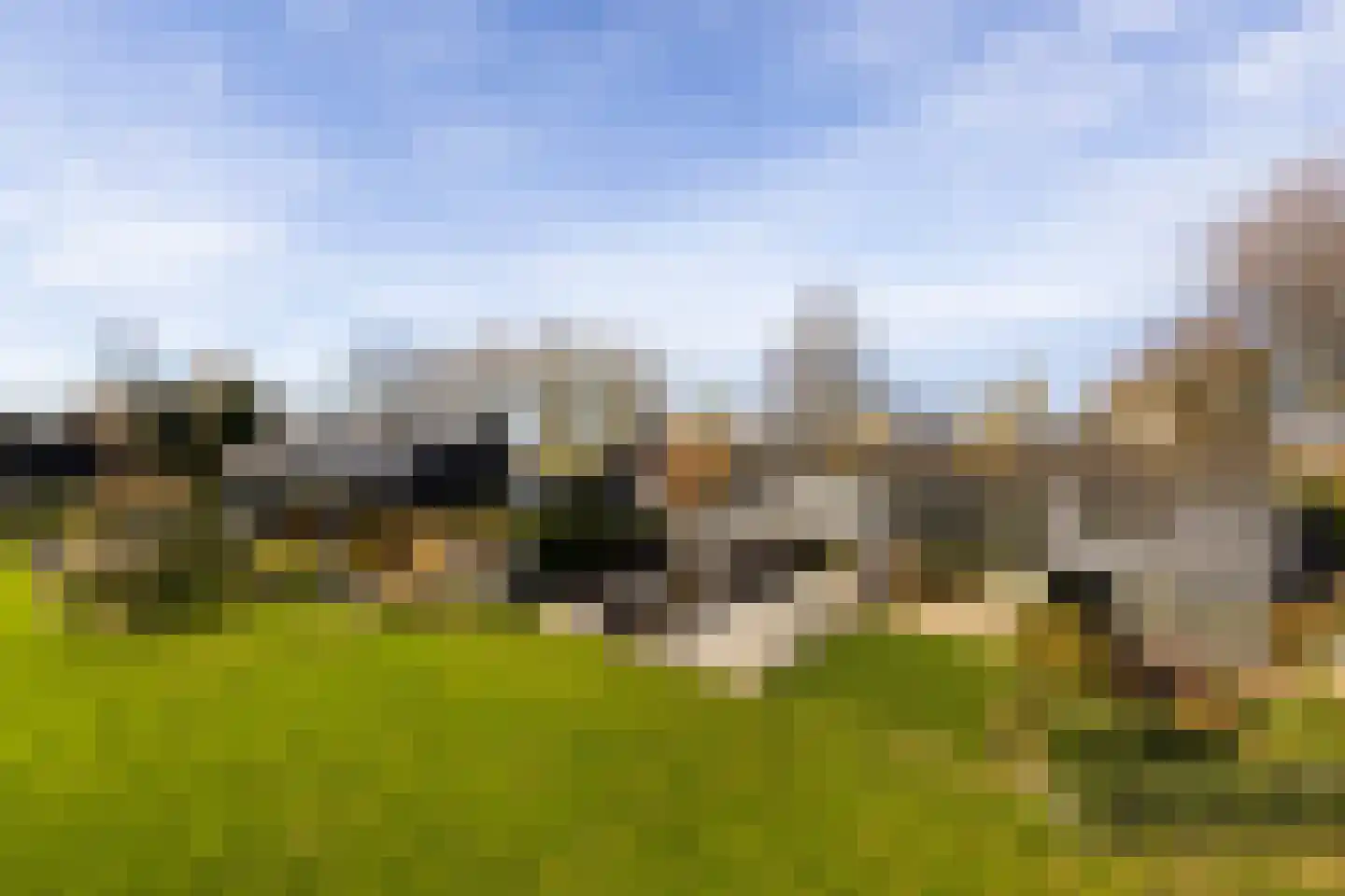 Numansgors 67 Numansdorp thumbnail 38