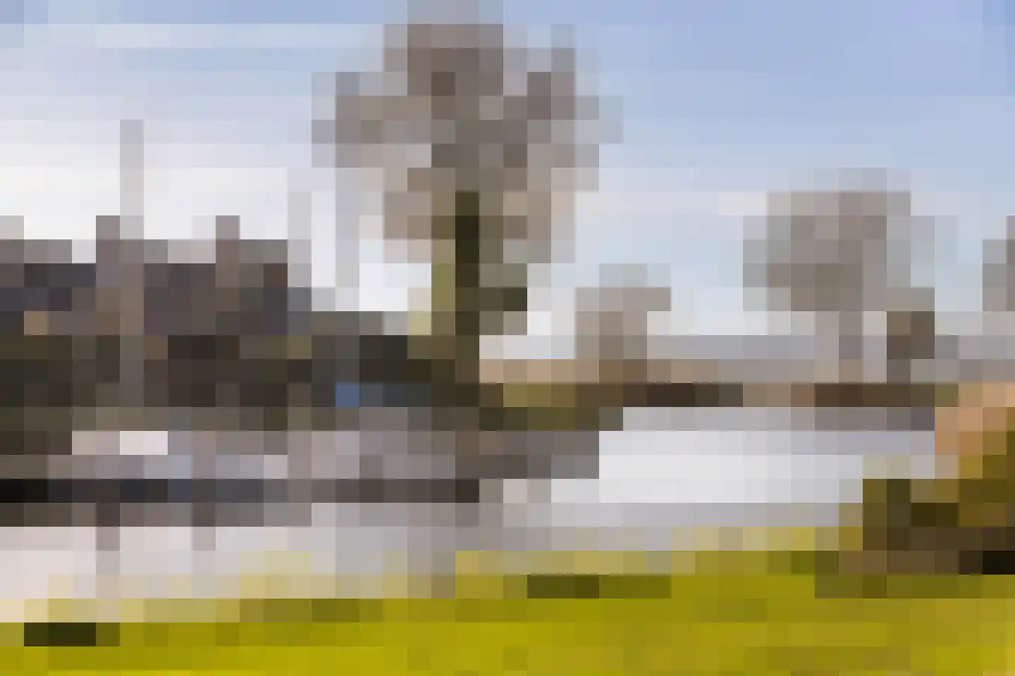 Numansgors 67 Numansdorp thumbnail 40