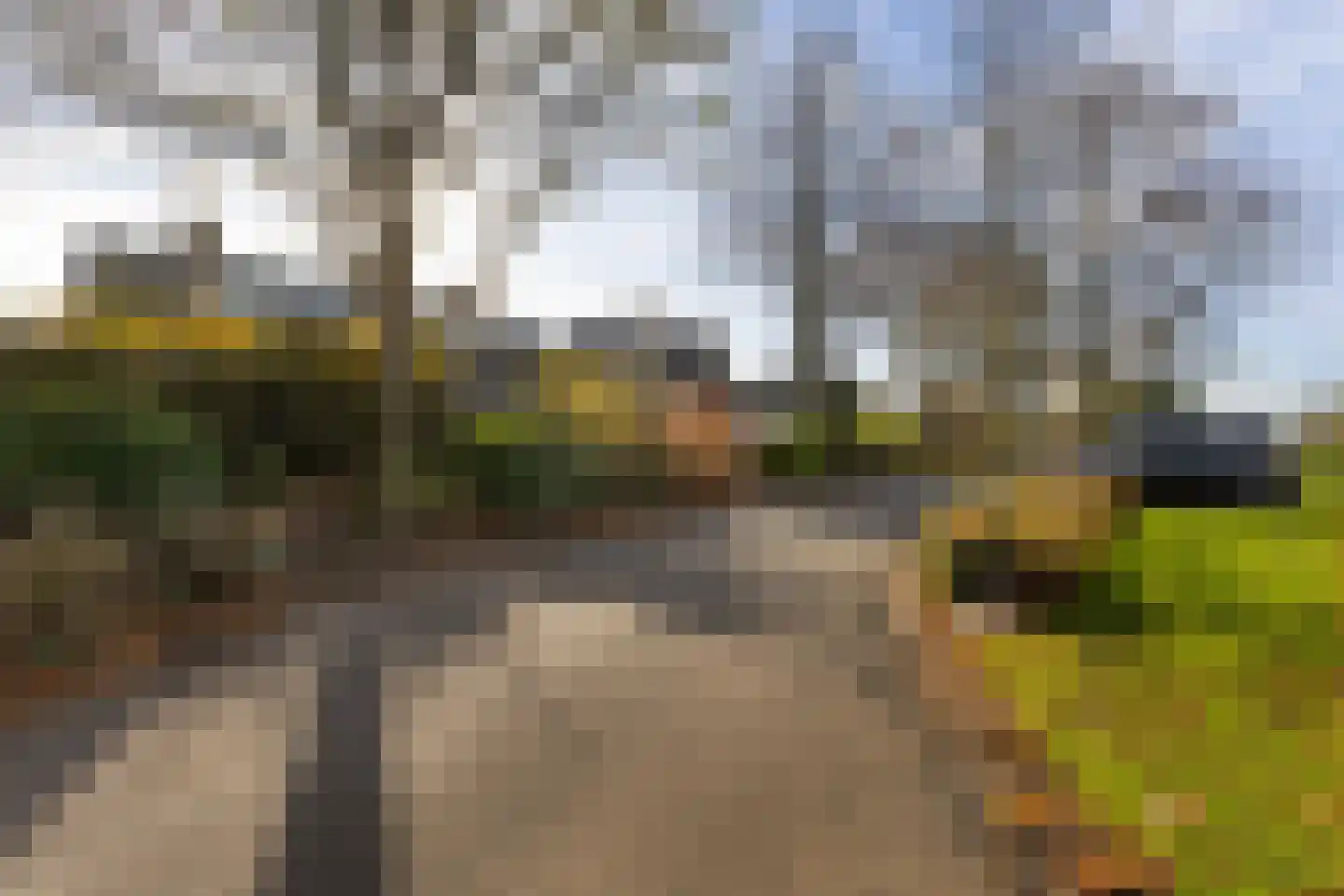 Numansgors 67 Numansdorp thumbnail 45