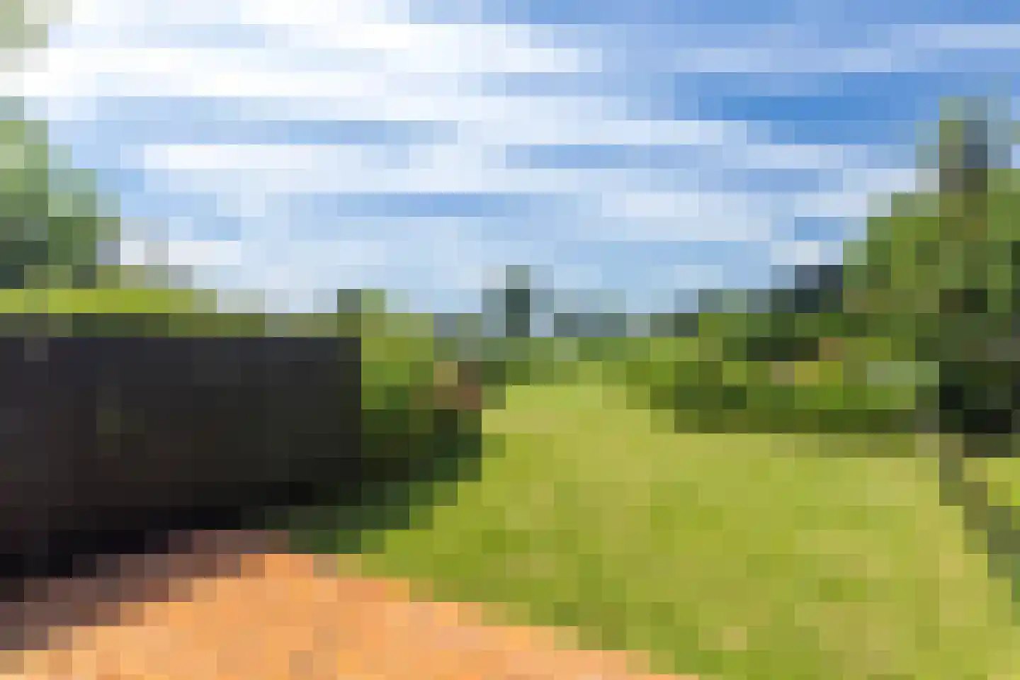 Numansgors 70 Numansdorp thumbnail 28