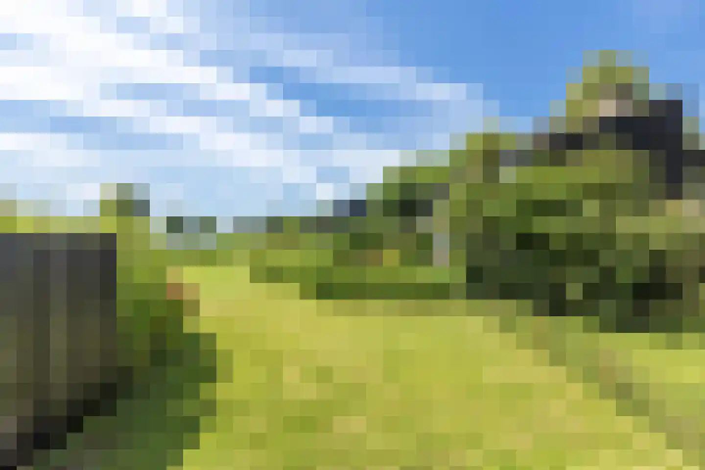 Numansgors 70 Numansdorp thumbnail 29
