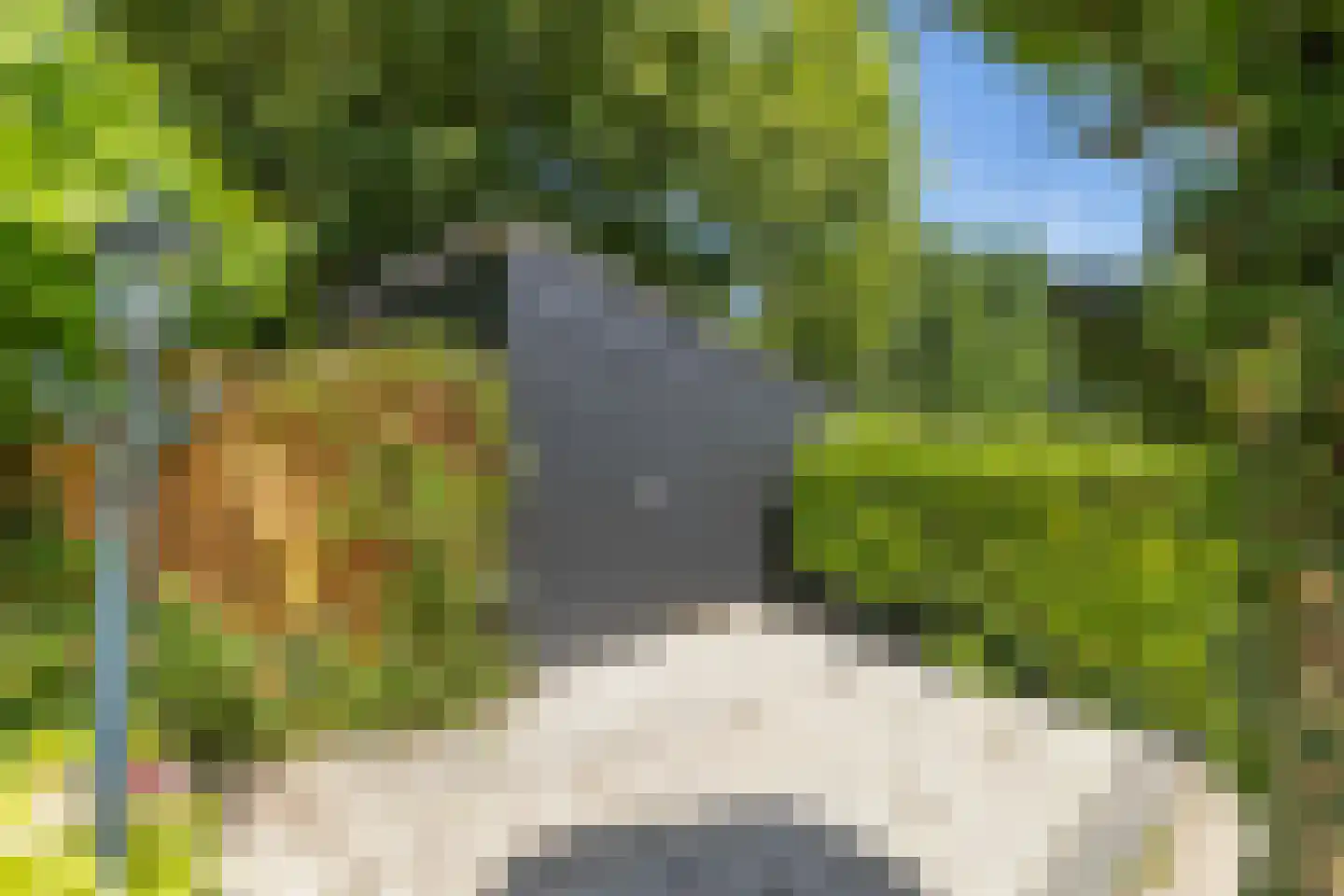 Numansgors 70 Numansdorp thumbnail 35