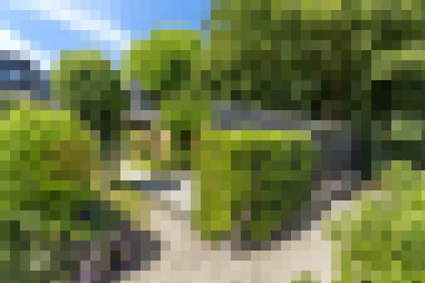 Numansgors 70 Numansdorp thumbnail 36