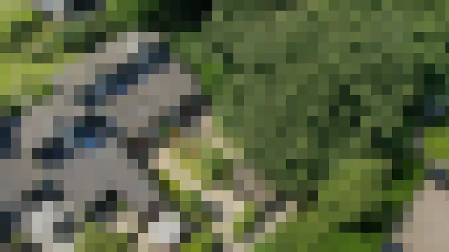 Numansgors 70 Numansdorp thumbnail 38