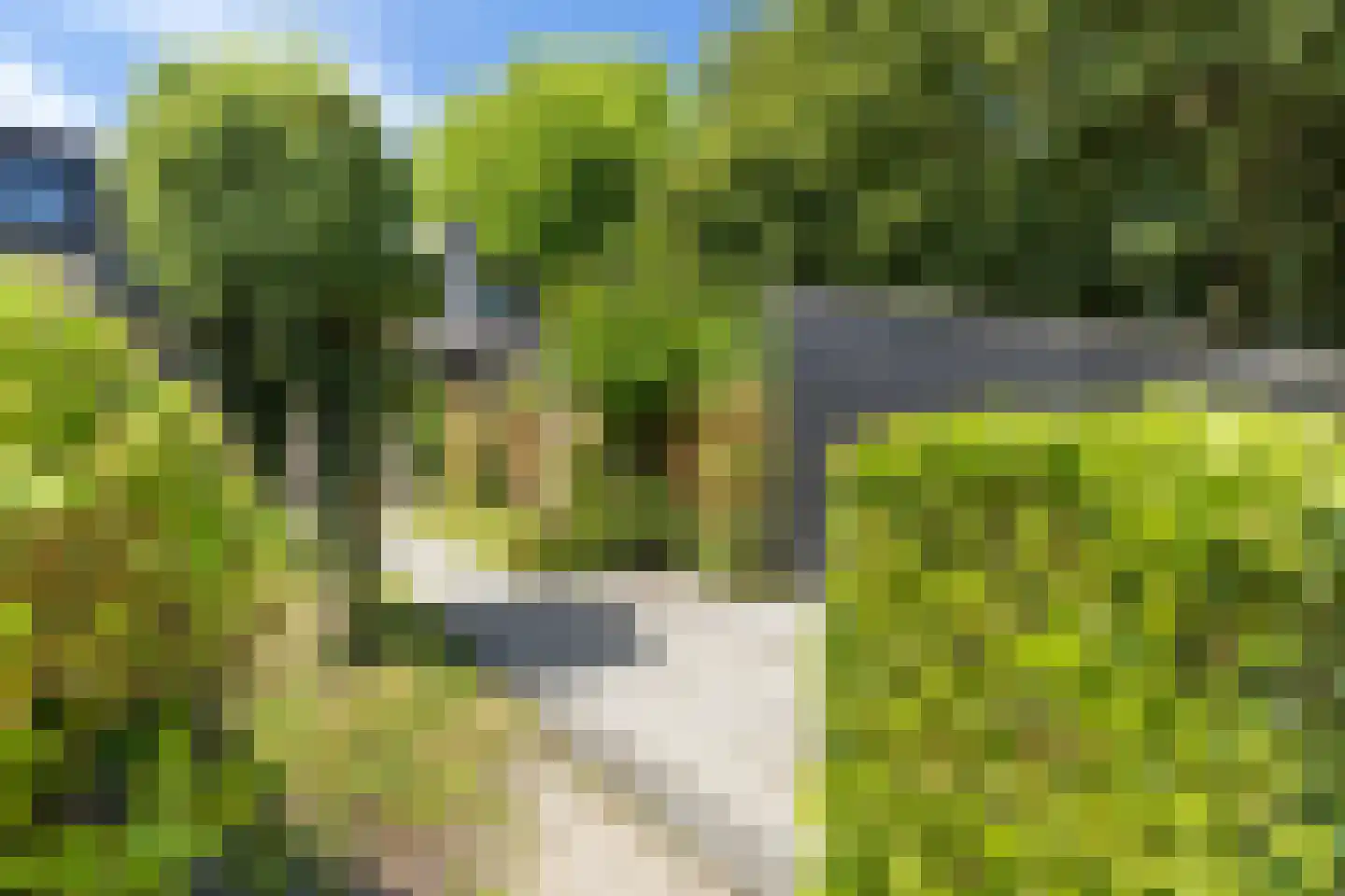 Numansgors 70 Numansdorp thumbnail 4