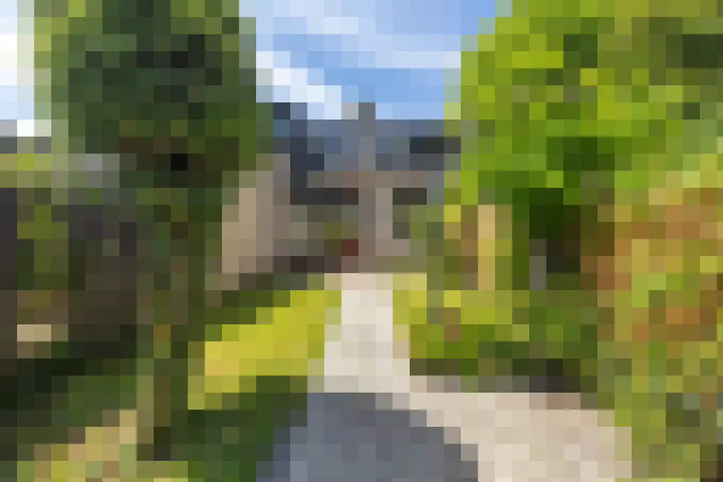 Numansgors 70 Numansdorp thumbnail 5
