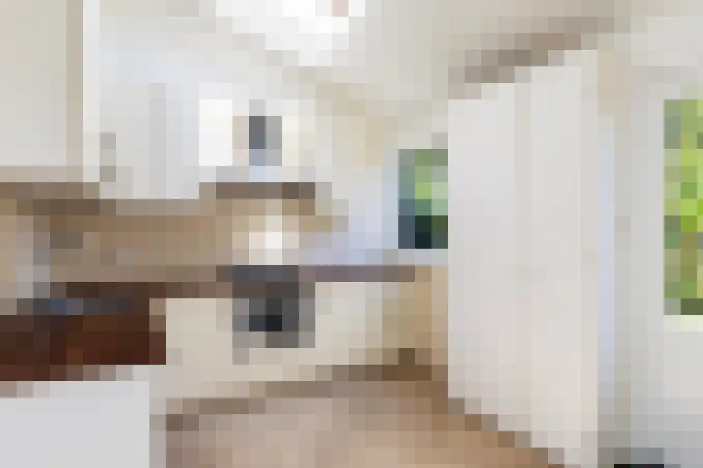 Numansgors 70 Numansdorp thumbnail 7