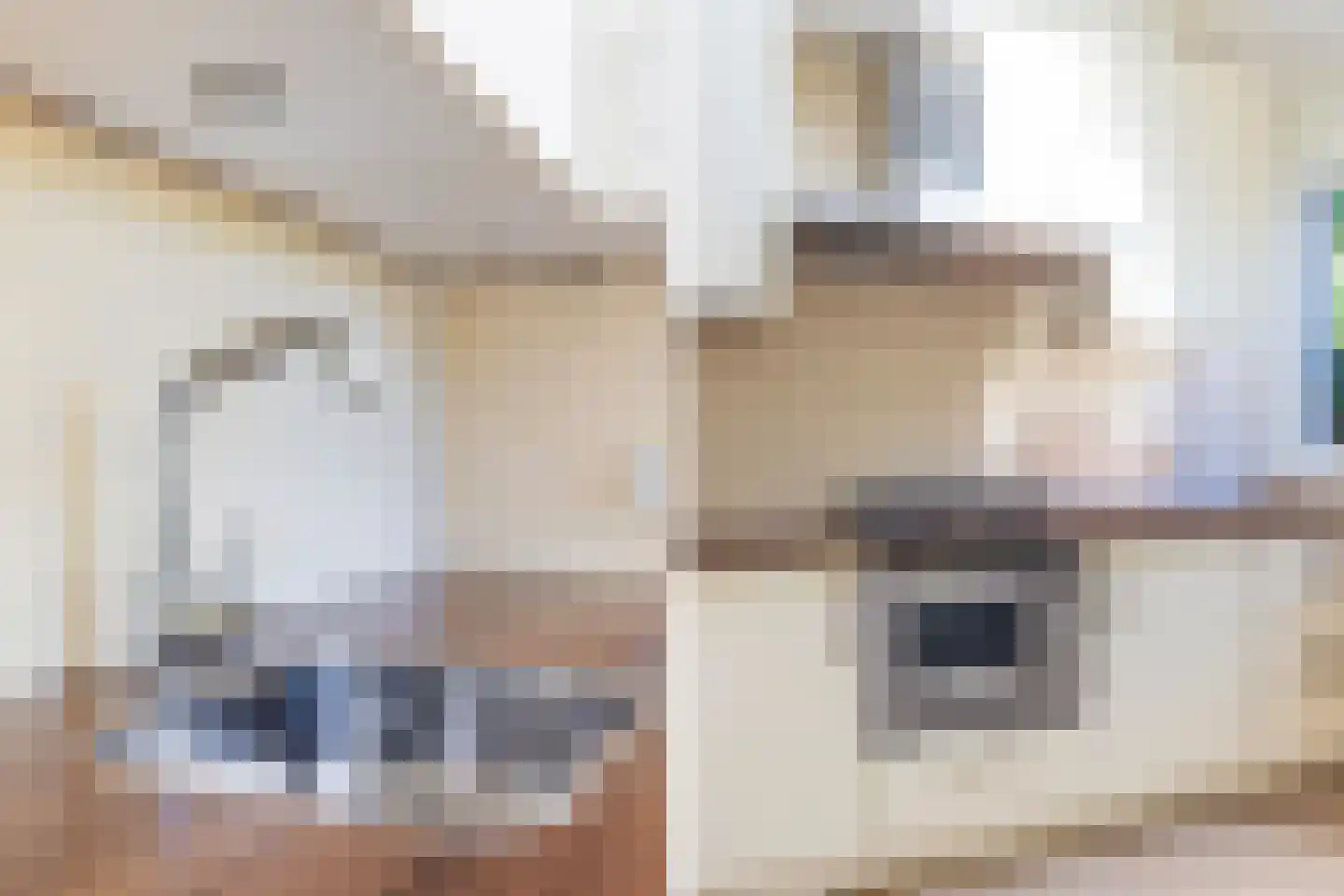Numansgors 70 Numansdorp thumbnail 8