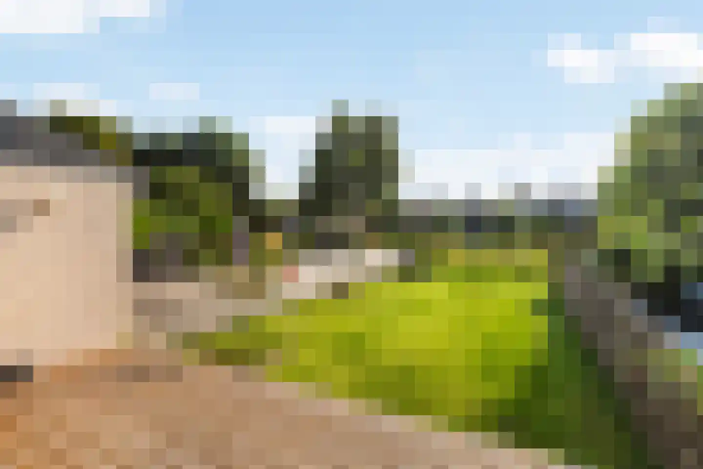 Numansgors 85 Numansdorp thumbnail 16