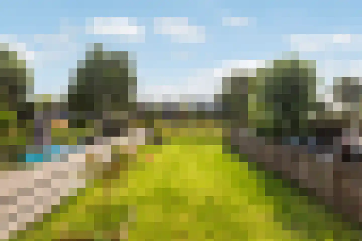 Numansgors 85 Numansdorp thumbnail 17