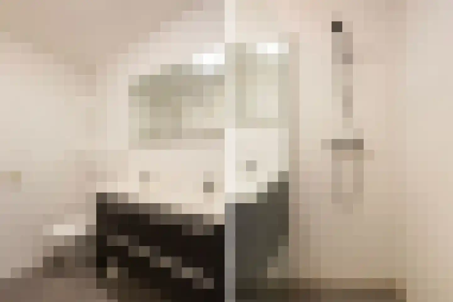 Numansgors 85 Numansdorp thumbnail 22