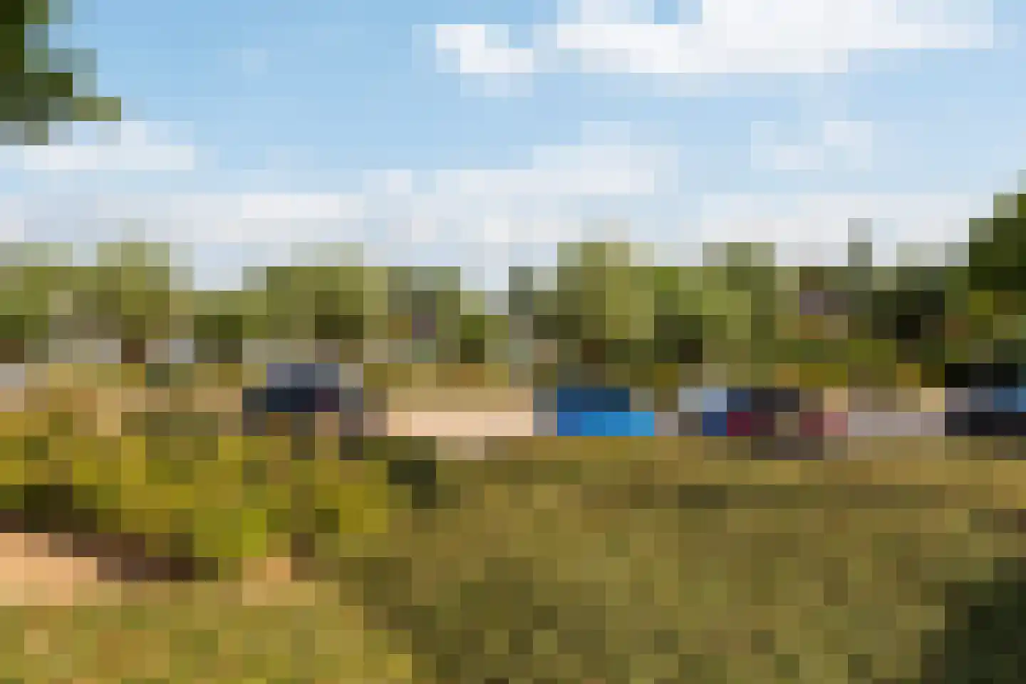 Numansgors 85 Numansdorp thumbnail 30
