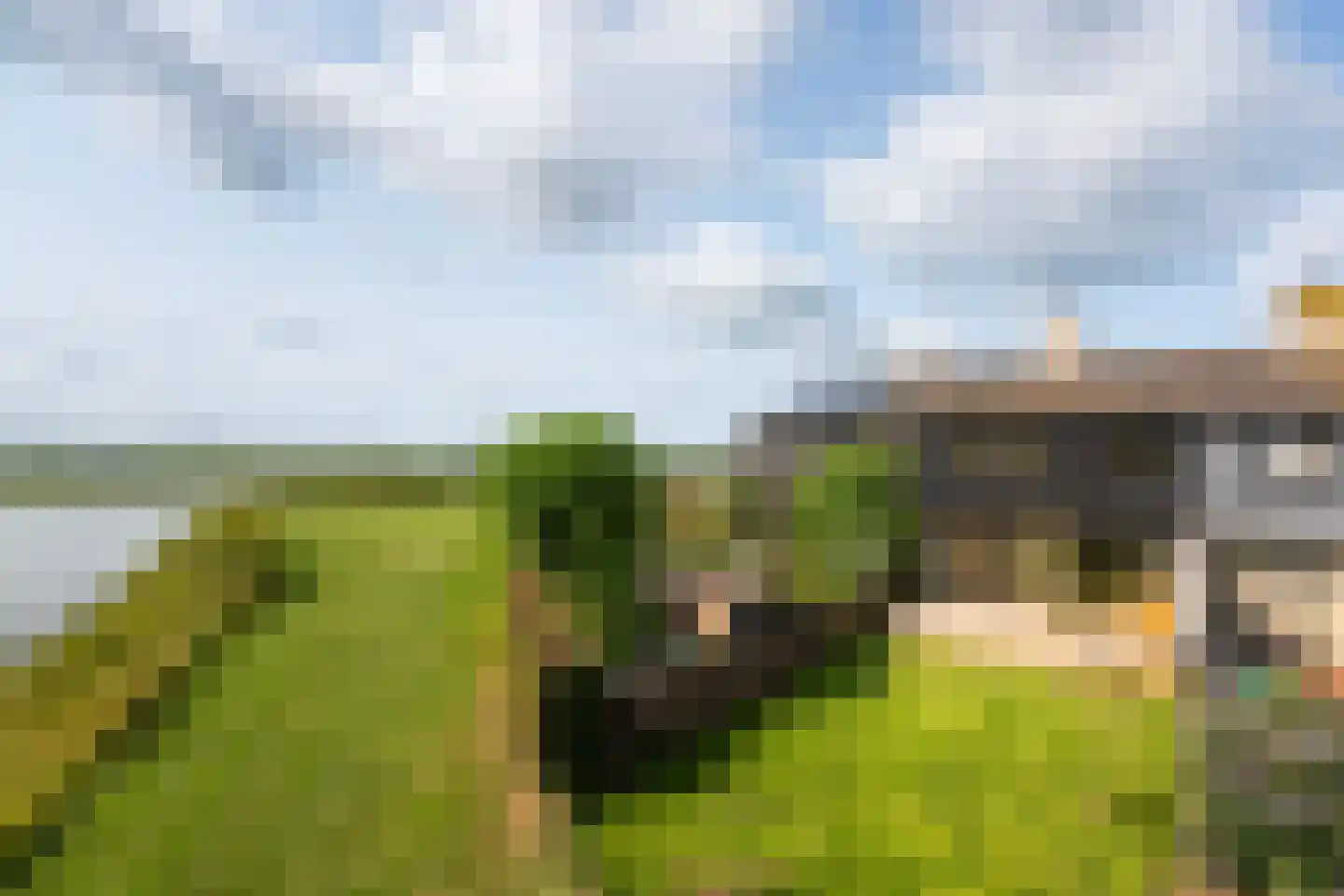 Numansgors 85 Numansdorp thumbnail 38