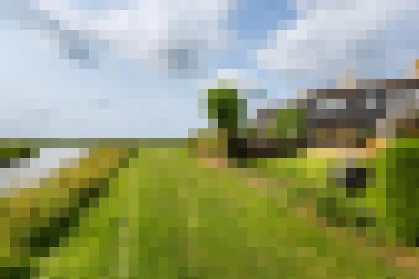 Numansgors 85 Numansdorp thumbnail 39