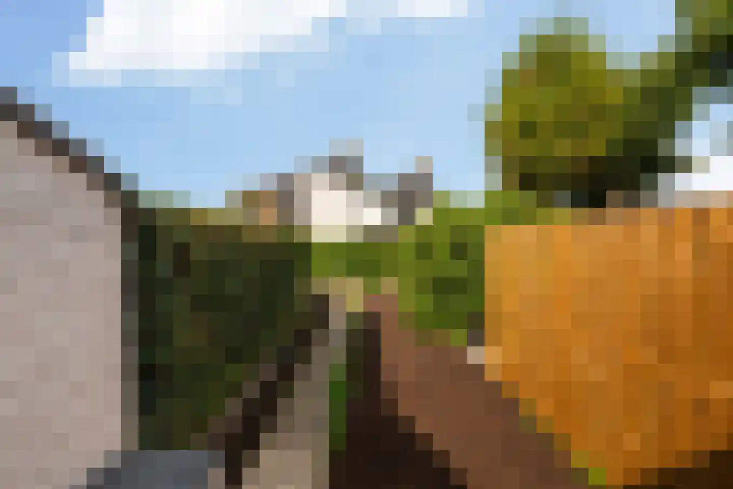Numansgors 85 Numansdorp thumbnail 4