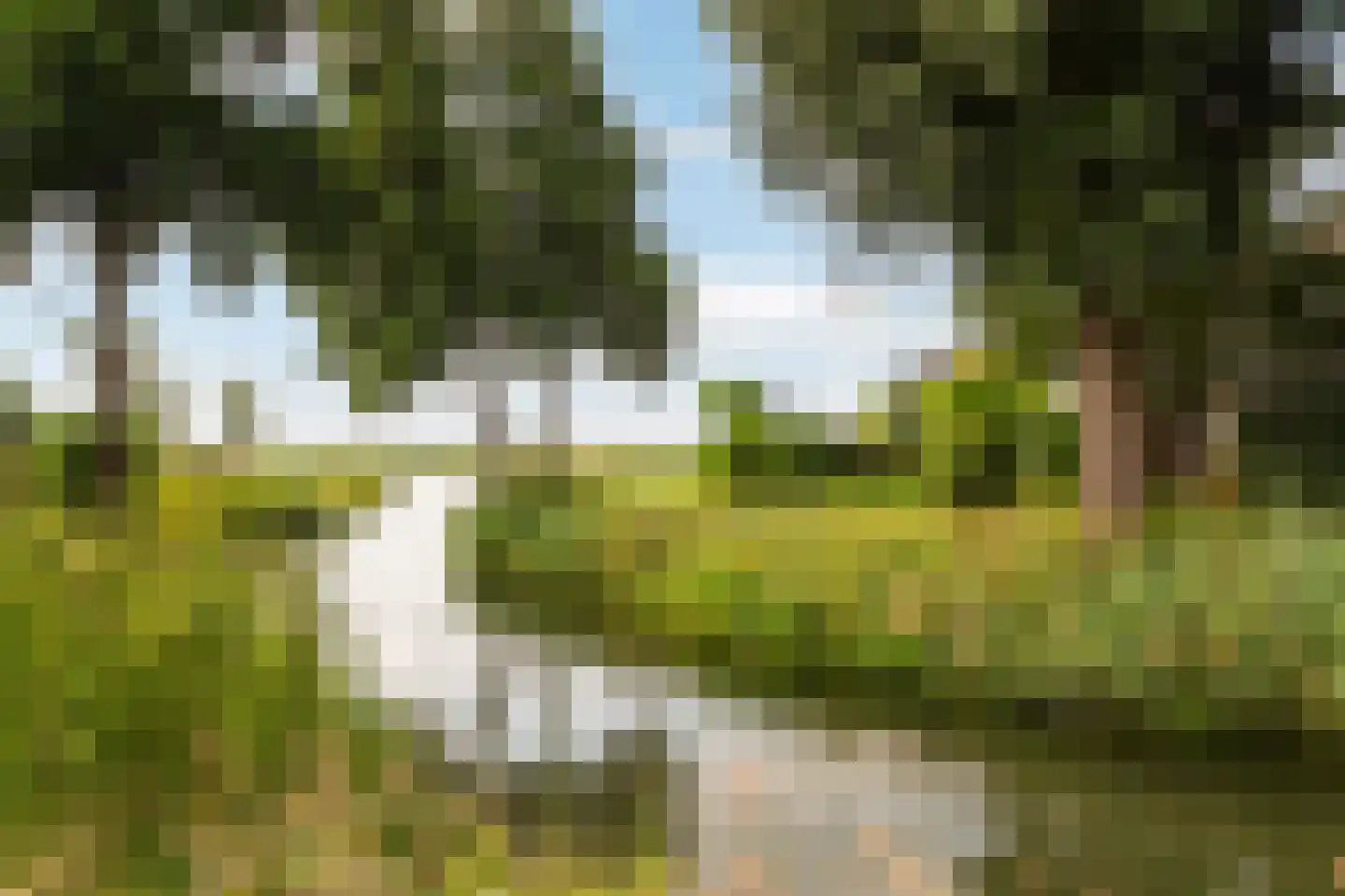 Numansgors 85 Numansdorp thumbnail 44