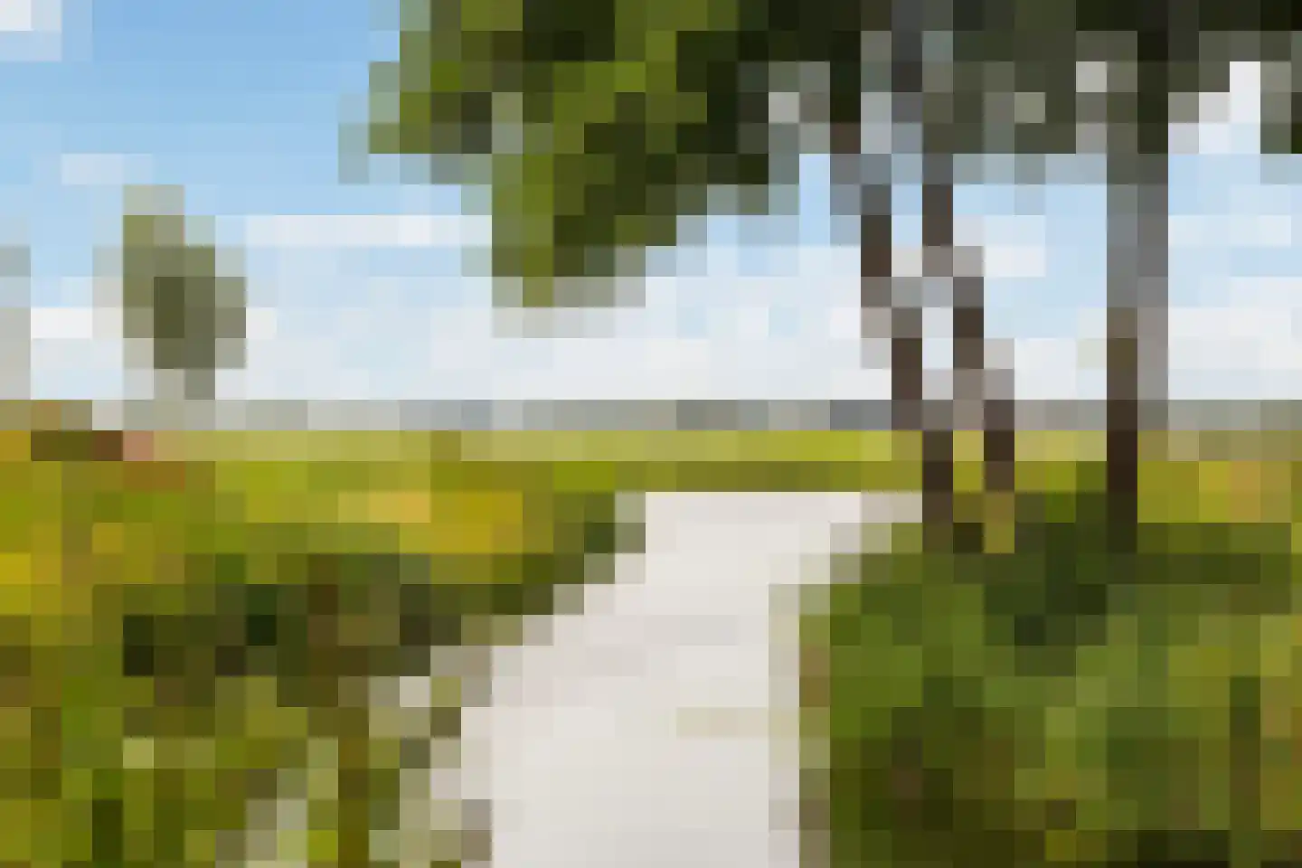 Numansgors 85 Numansdorp thumbnail 45