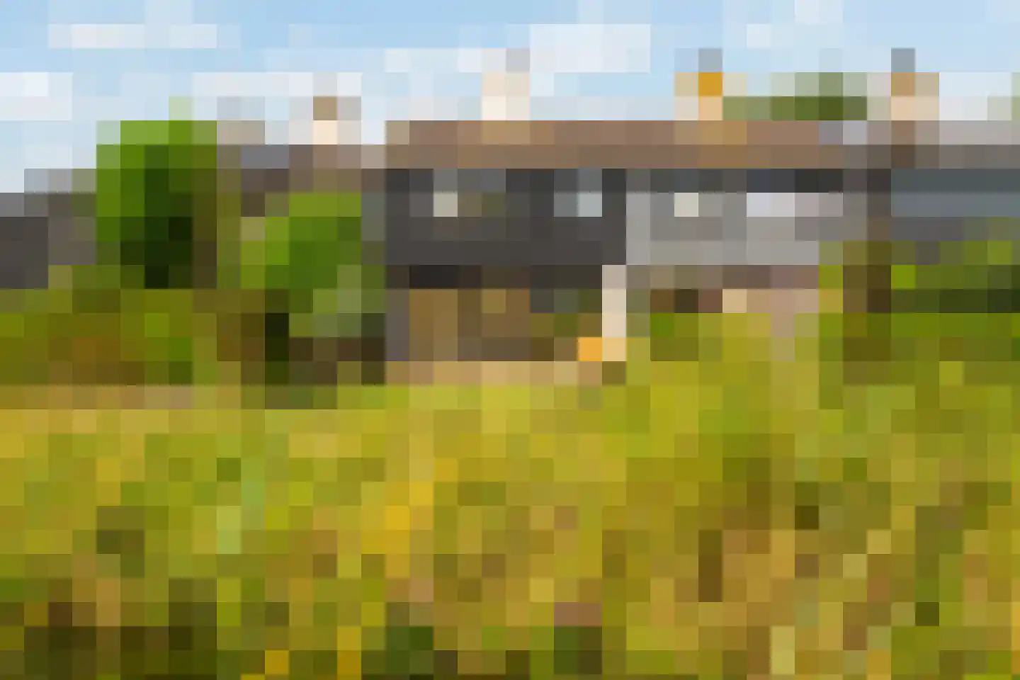 Numansgors 85 Numansdorp thumbnail 47