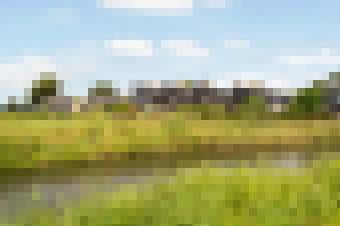 Numansgors 85 Numansdorp thumbnail 49