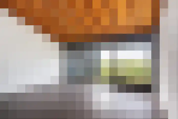 Numansgors 90 Numansdorp thumbnail 10