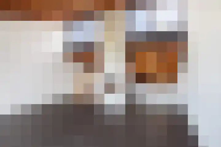 Numansgors 90 Numansdorp thumbnail 11