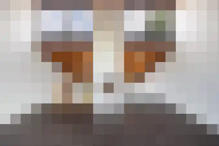 Numansgors 90 Numansdorp thumbnail 12