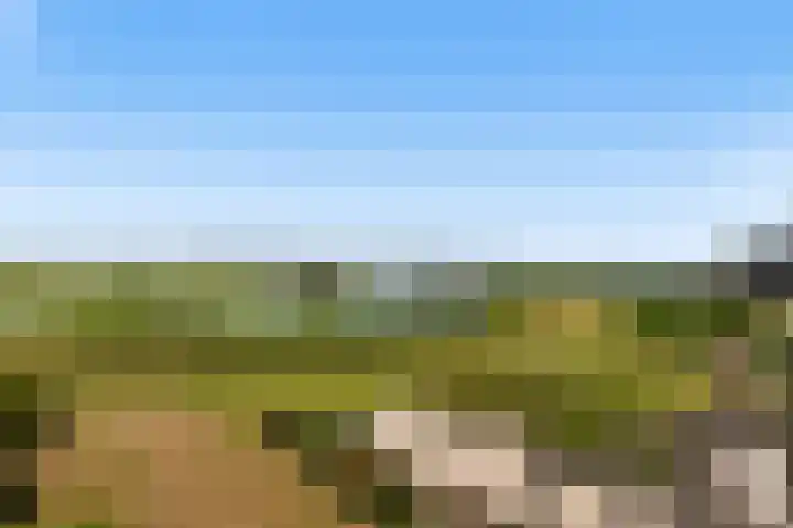 Numansgors 90 Numansdorp thumbnail 15