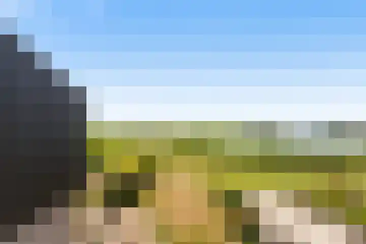 Numansgors 90 Numansdorp thumbnail 16