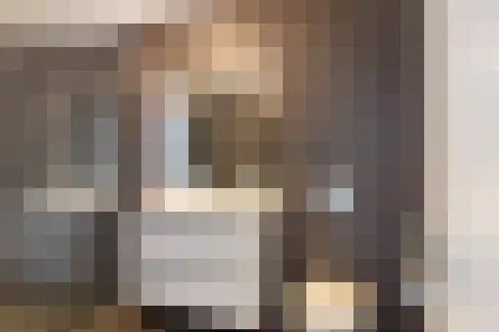 Numansgors 90 Numansdorp thumbnail 21