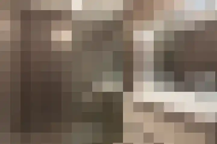 Numansgors 90 Numansdorp thumbnail 22