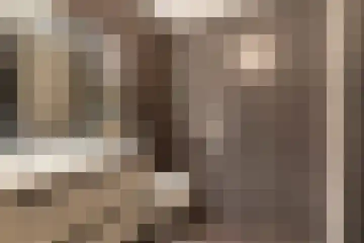 Numansgors 90 Numansdorp thumbnail 23