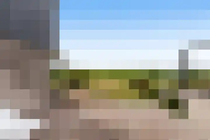 Numansgors 90 Numansdorp thumbnail 28