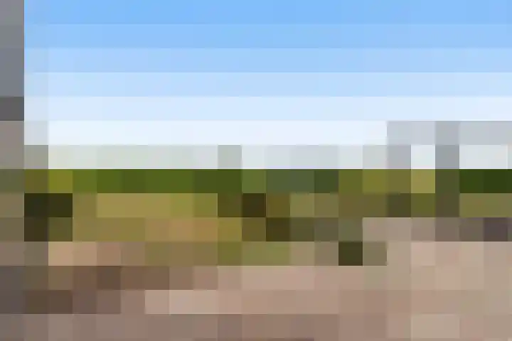 Numansgors 90 Numansdorp thumbnail 29