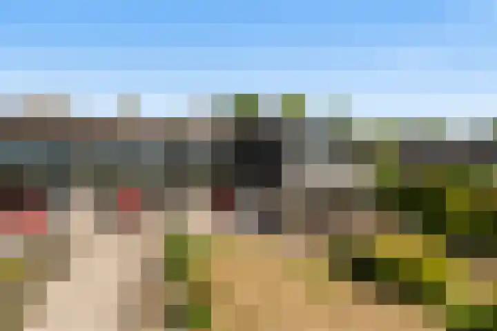 Numansgors 90 Numansdorp thumbnail 30