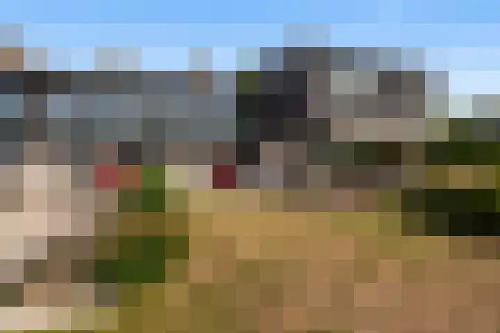 Numansgors 90 Numansdorp thumbnail 31